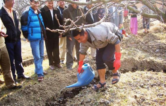 Putting knowledge into practice: hands-on training in sustainable sanitation and agriculture, Buthan. Source: SEECON (2009) 